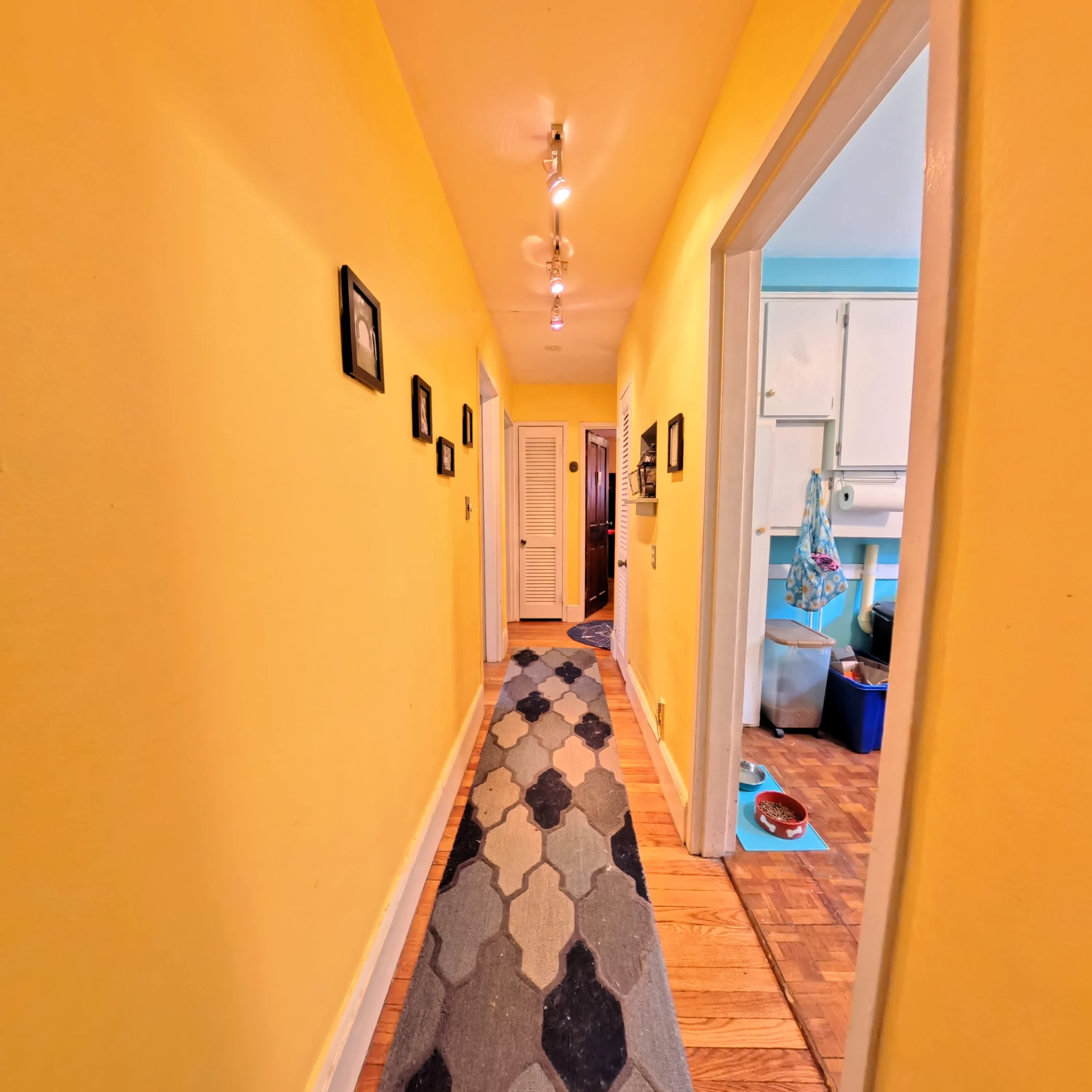 1 O Leary Way – photo 5