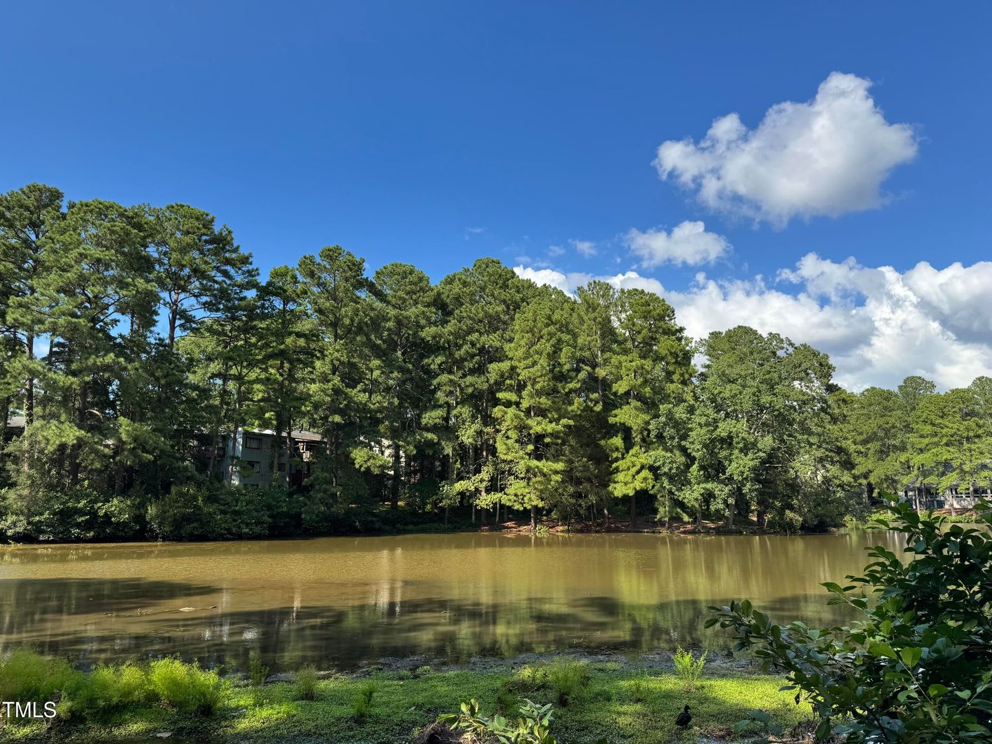 5112 Flint Ridge Place – photo 2