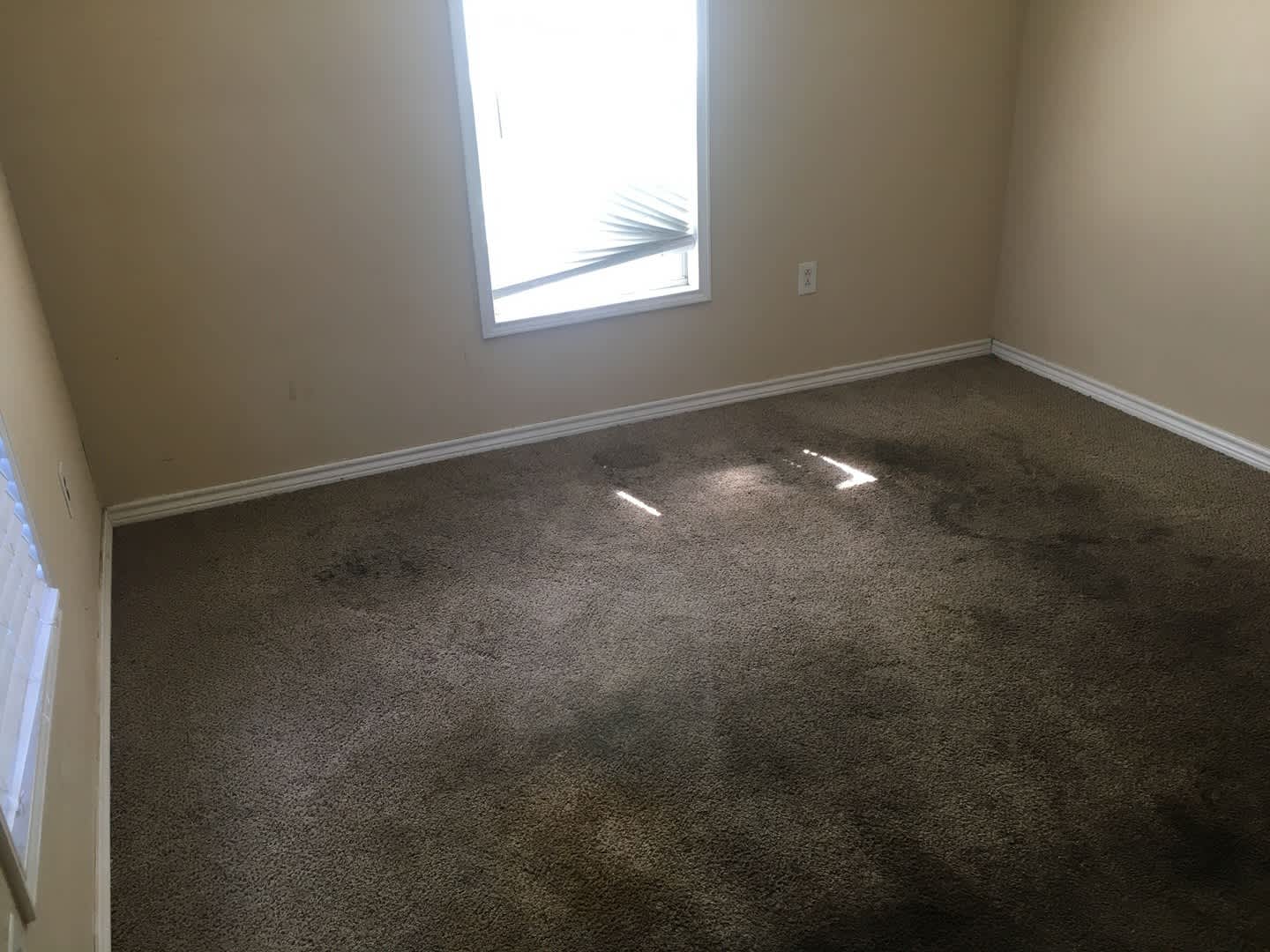 438 Cherry St – photo 2