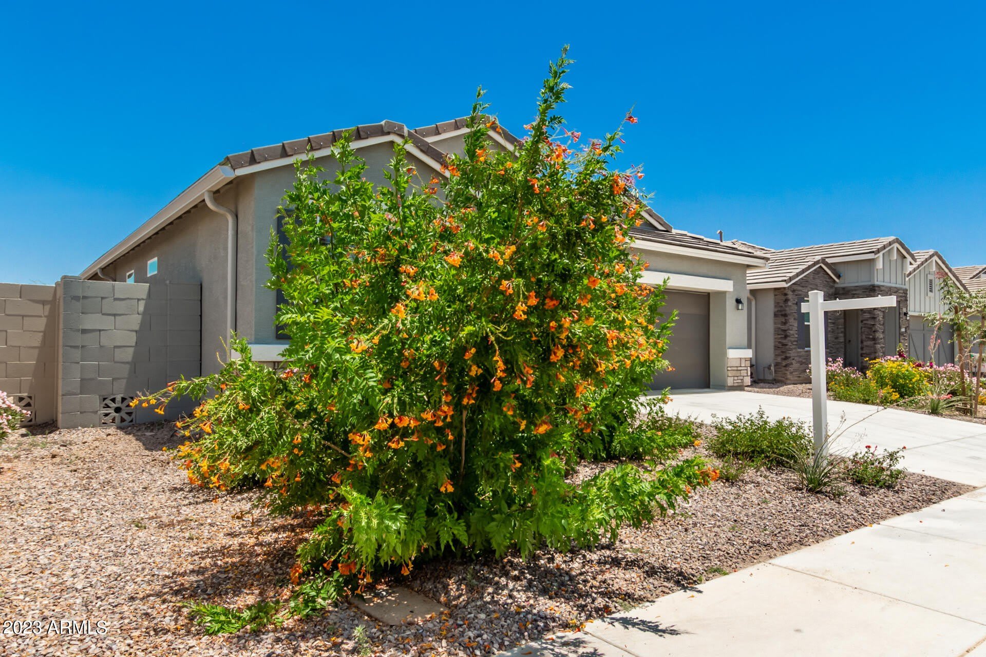 36501 N SENEPOL Street – photo 4
