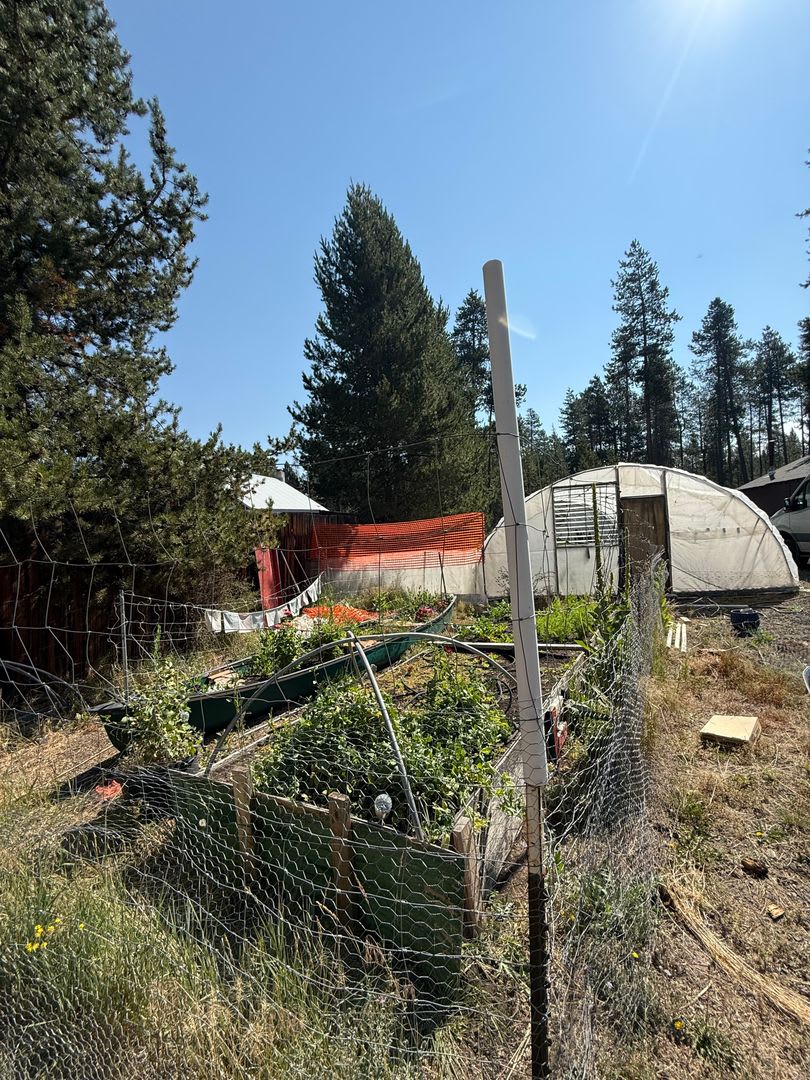 Recently Remodeled 2 Bedroom Home on 1 Acre with Greenhouse, Garden &amp; Chicken Coop – photo 4