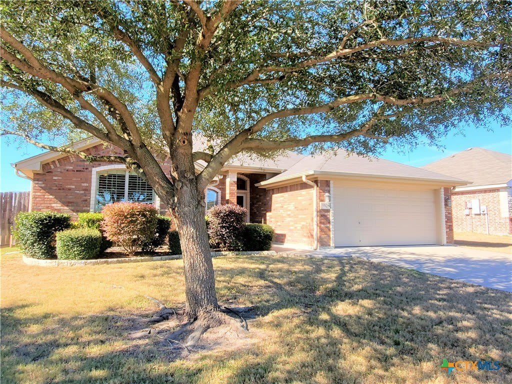 5020 Sean Patrick Glen – photo 3