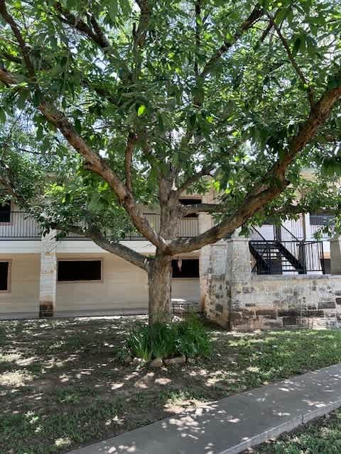 Lamar Square – photo 3