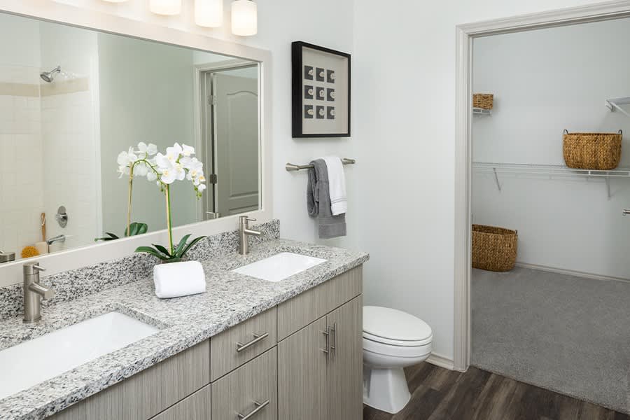 The Madison Apartments – photo 3