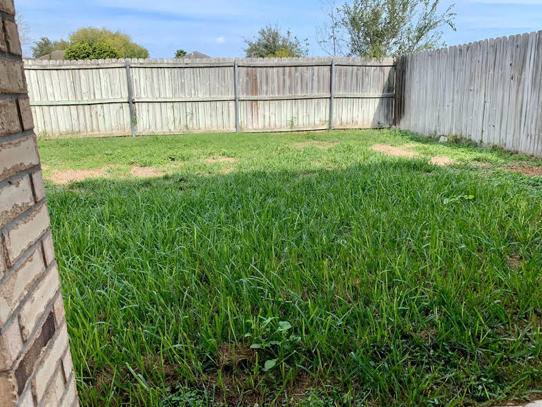 2716 Phoenix St – photo 5