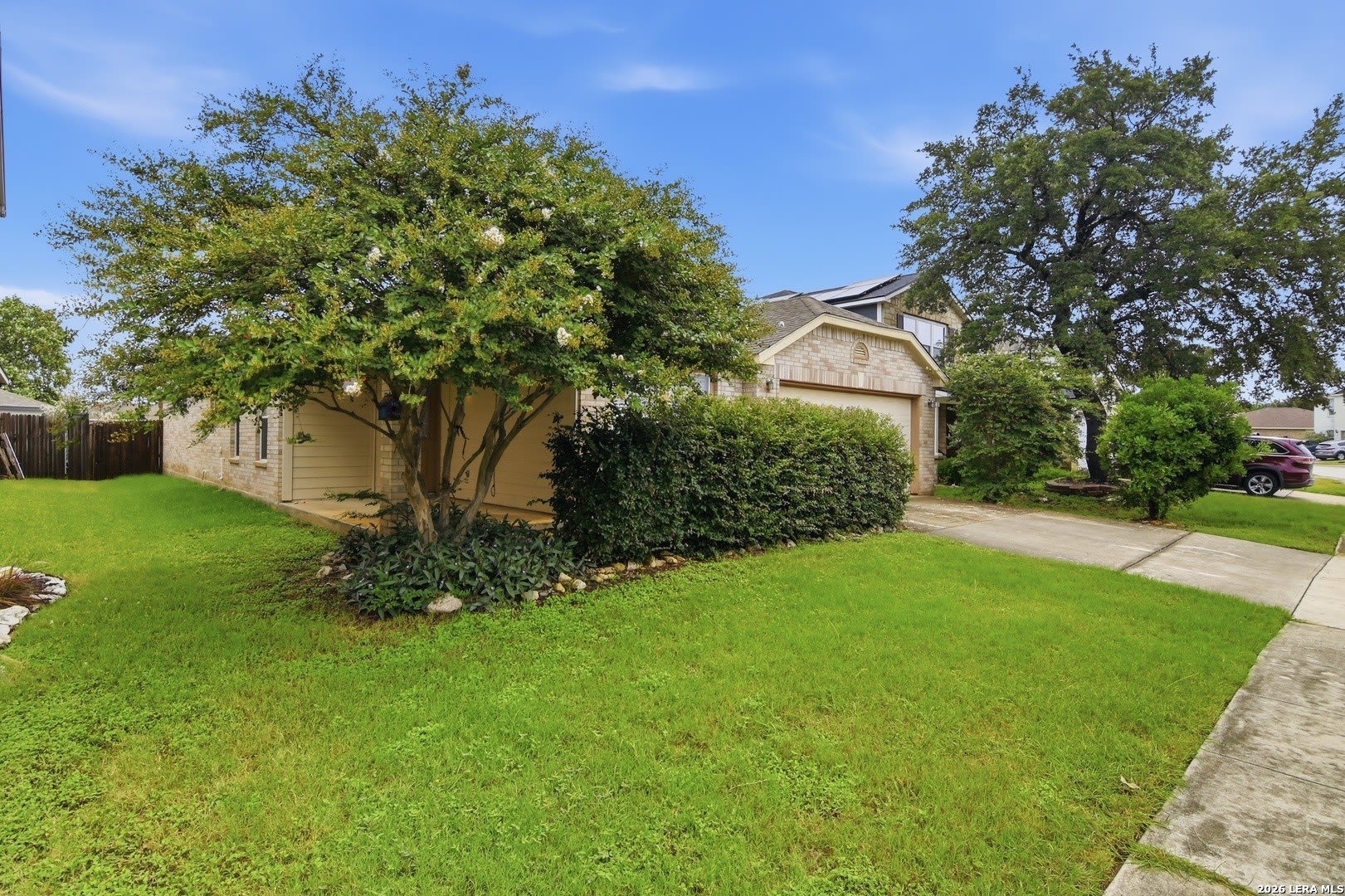 25537 Gold Yarrow – photo 3