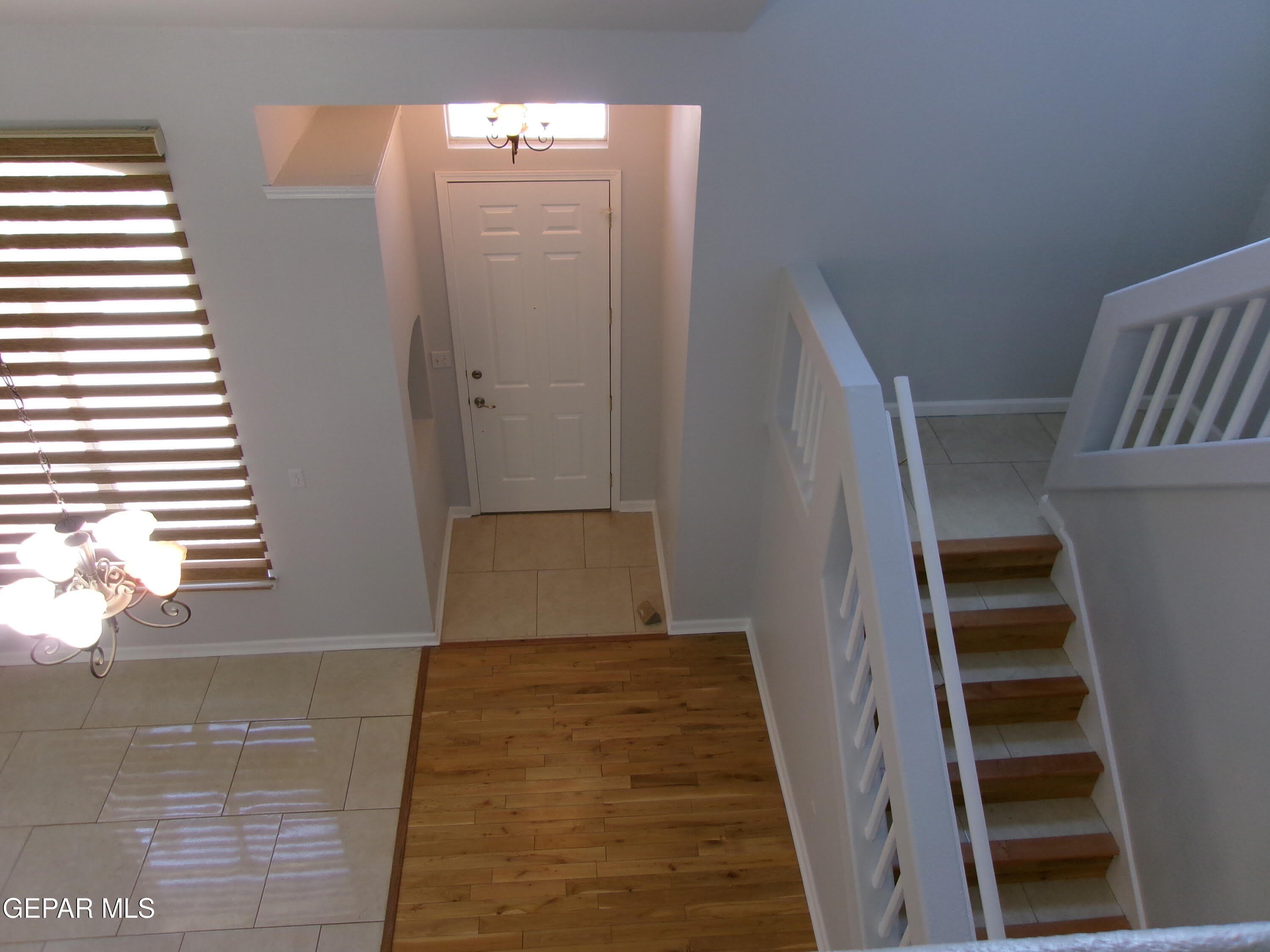 304 ALEX NICHOLAS Court – photo 4