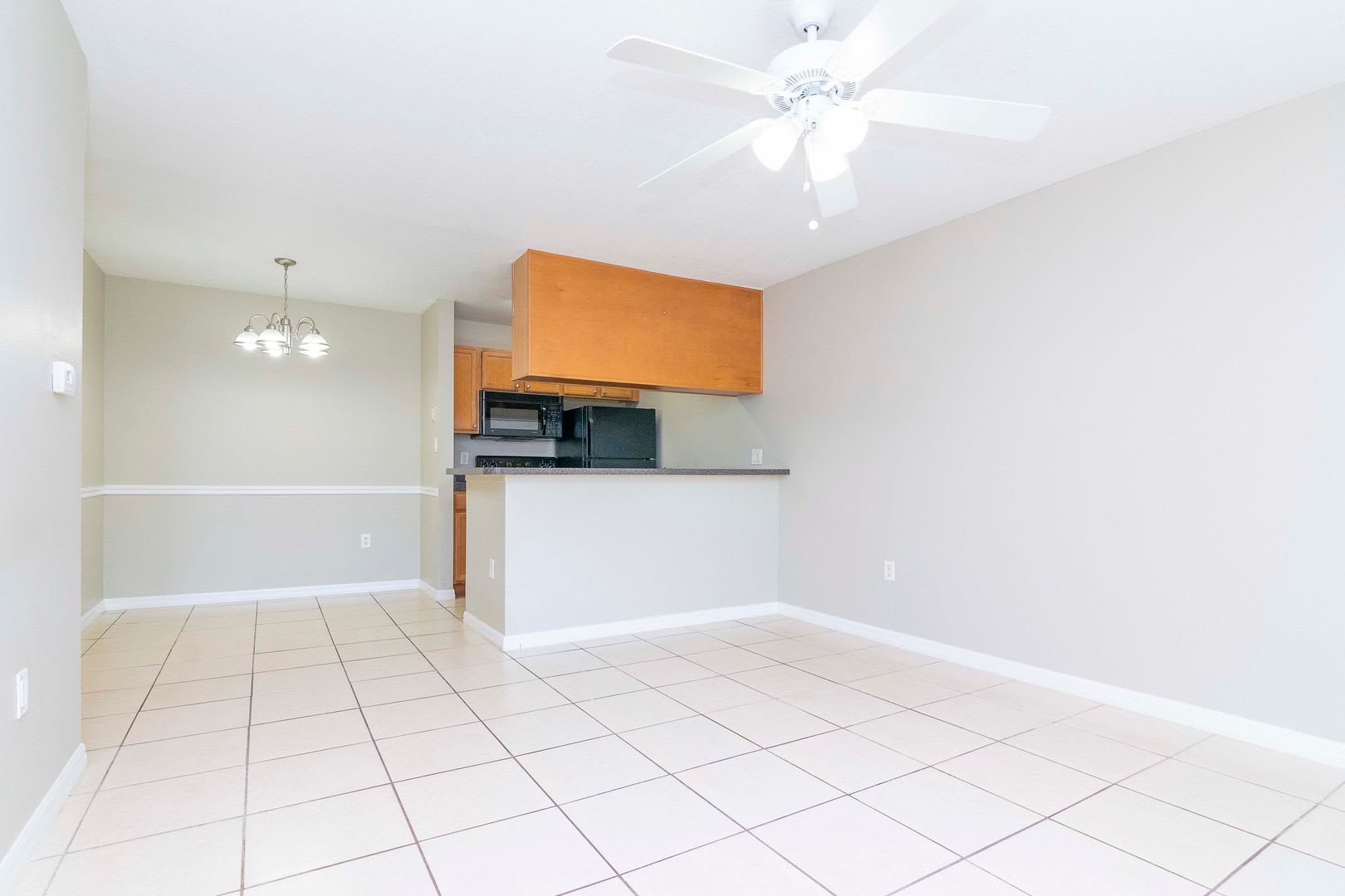 Ground Floor 1 Bedroom 1 Bath for Rent in Brandon, FL – photo 5
