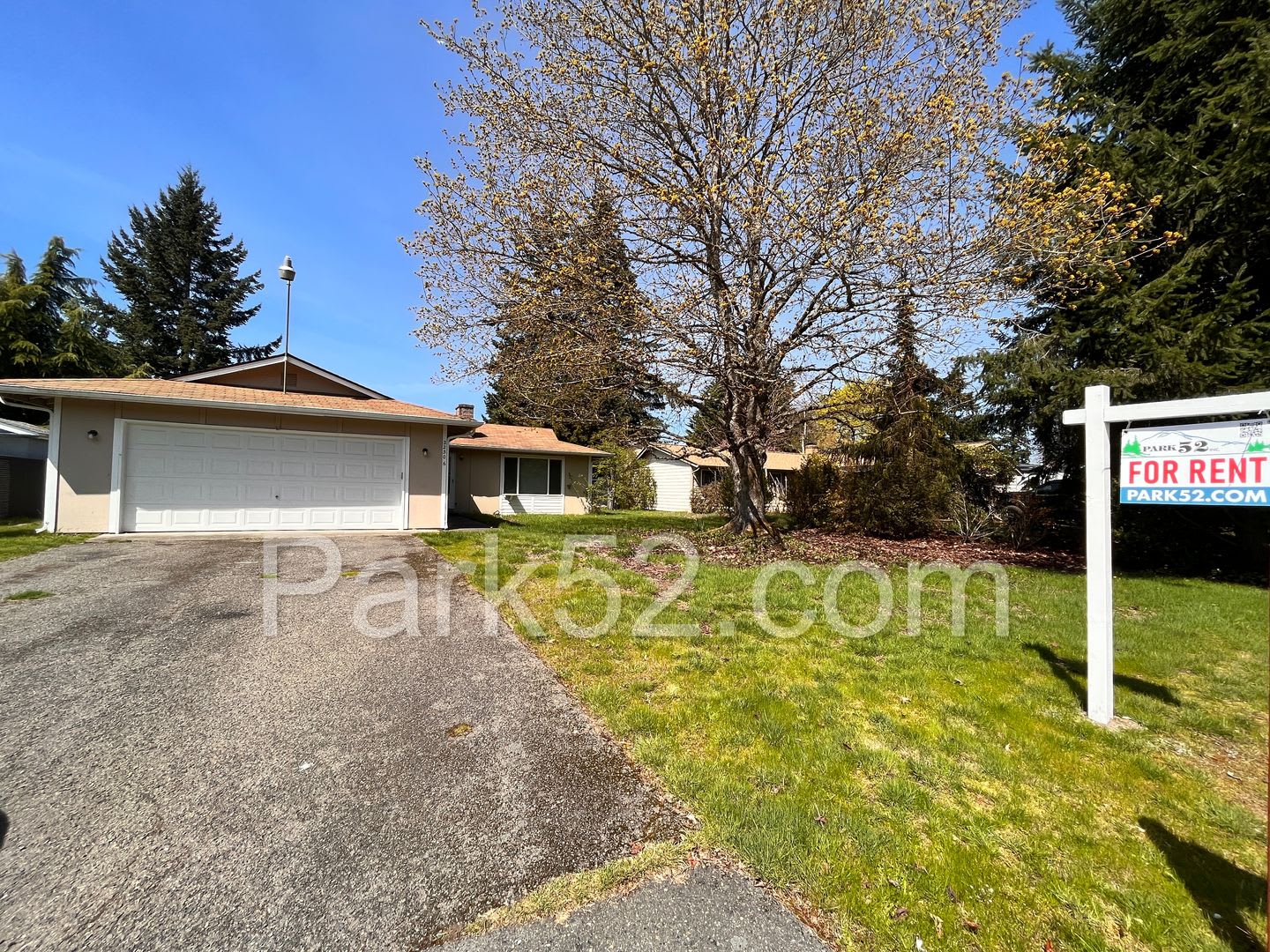 3 bedroom Single Family Rambler in Spanaway – photo 2