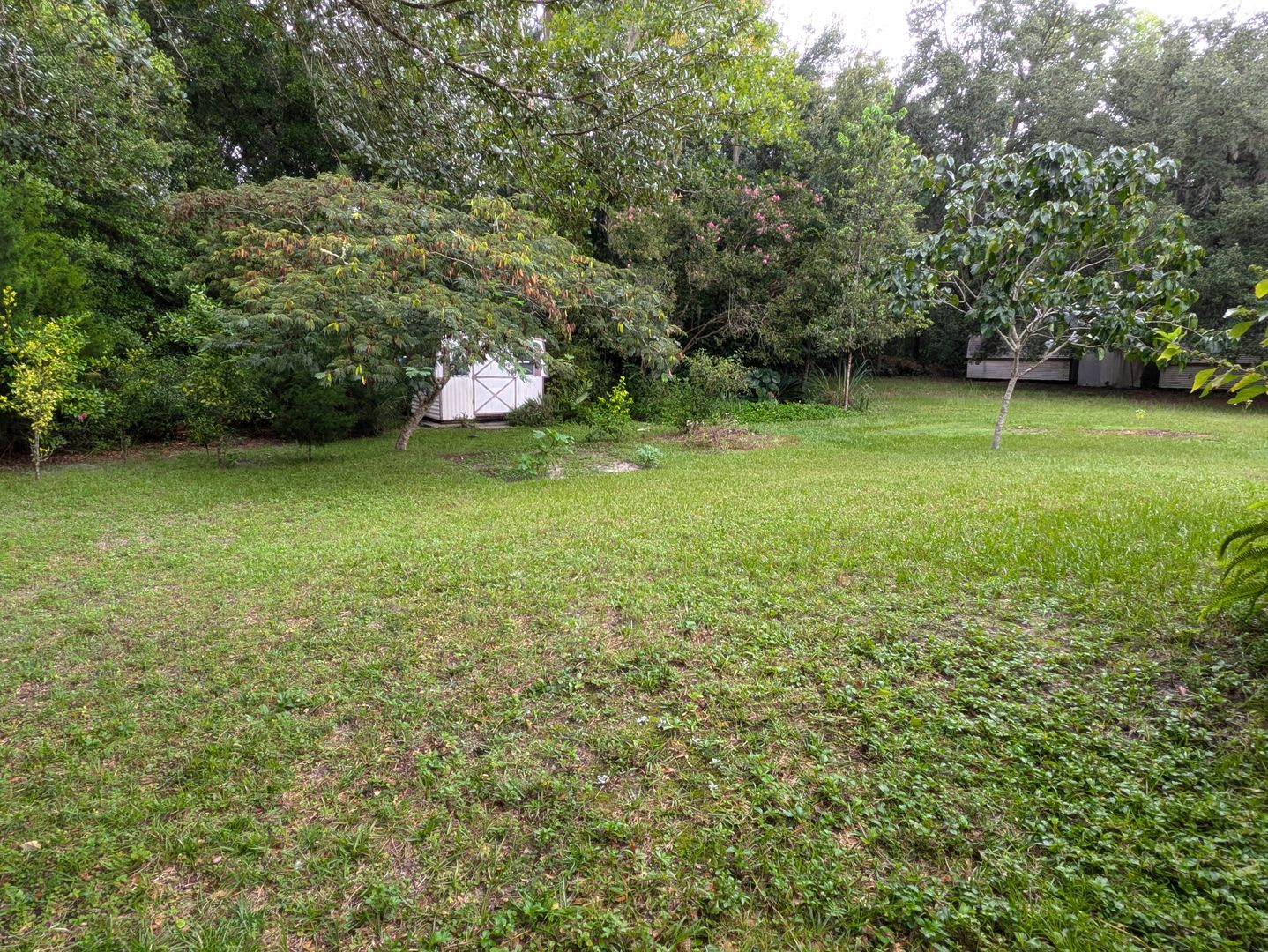 DUNNELLON HOME – photo 5