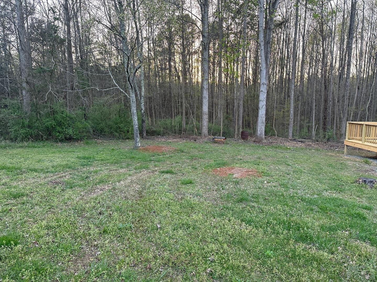 305 Leonard Meadow Road – photo 4