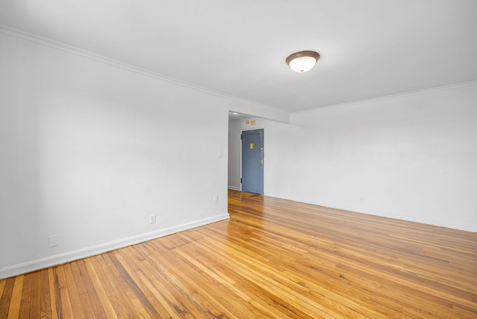 2335 Hudson Terrace – photo 3