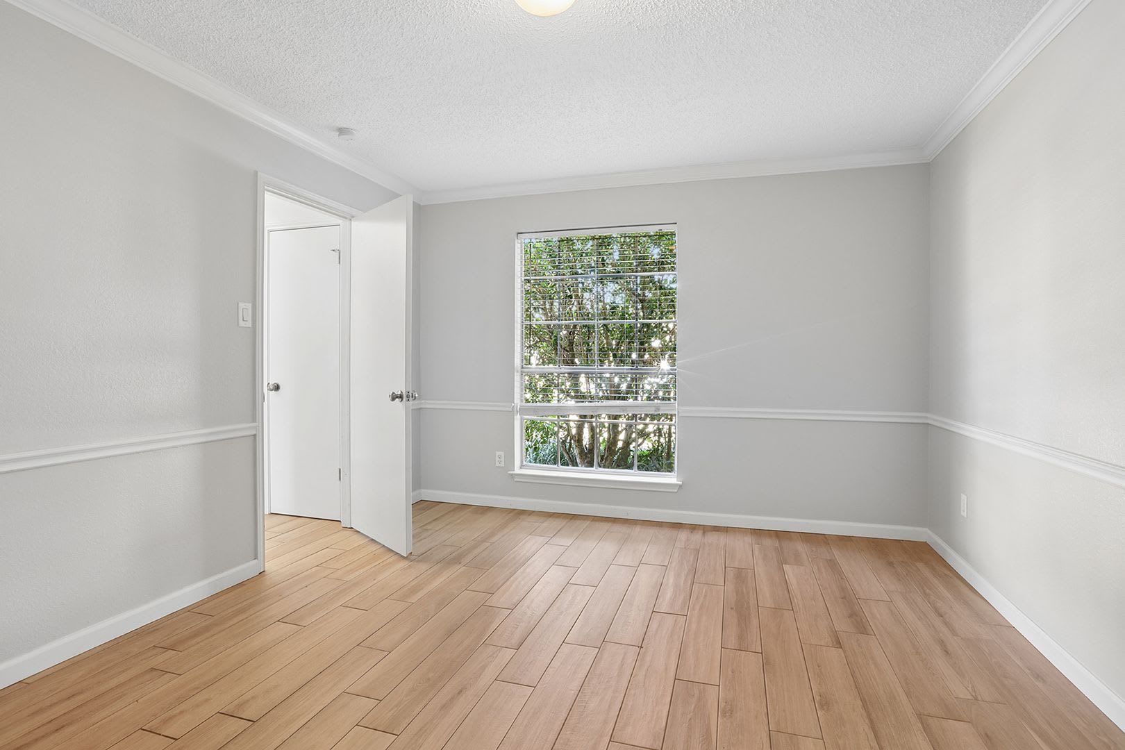 The Austin Home That Has It All — 4 Beds, 3 Baths, Huge Corner Lot + No Carpet! – photo 3