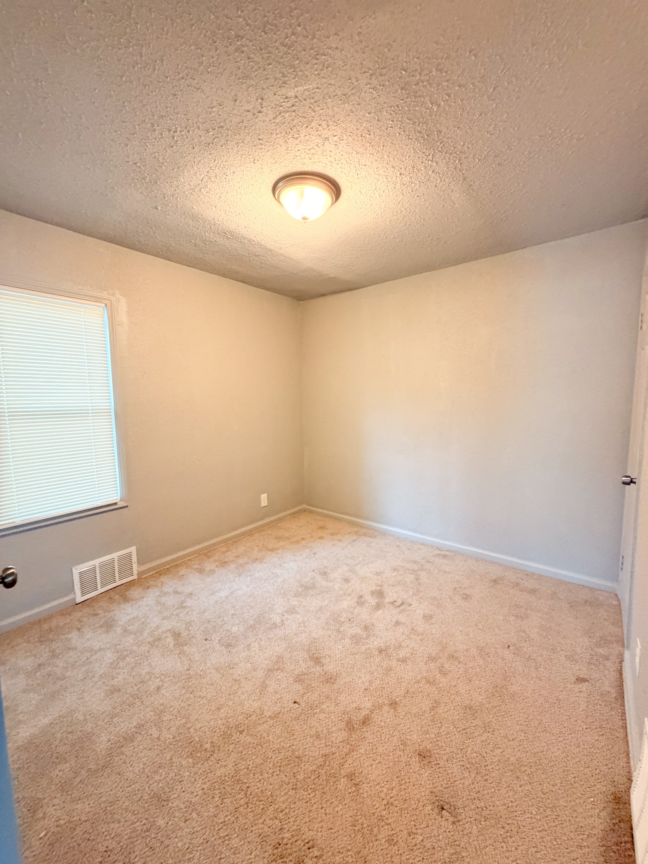 20058 Bloom Street – photo 5
