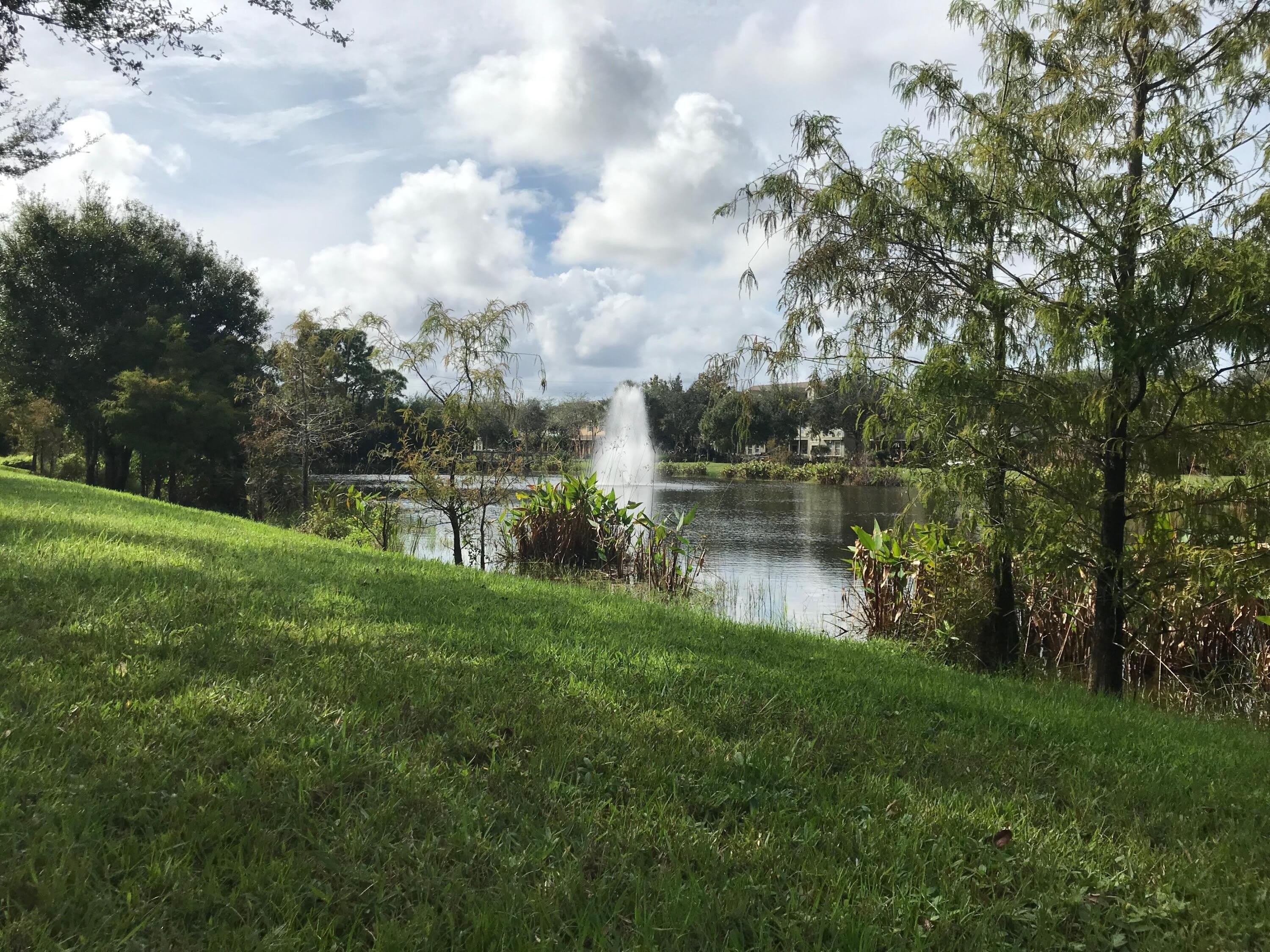 141 E Thatch Palm Circle – photo 4