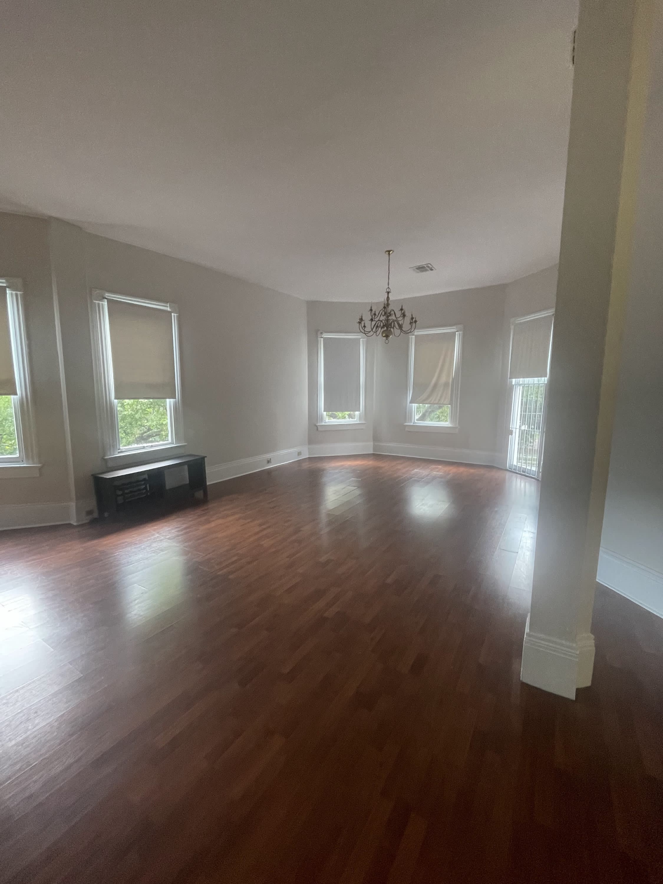 1034 S Carrollton Ave Unit D – photo 4