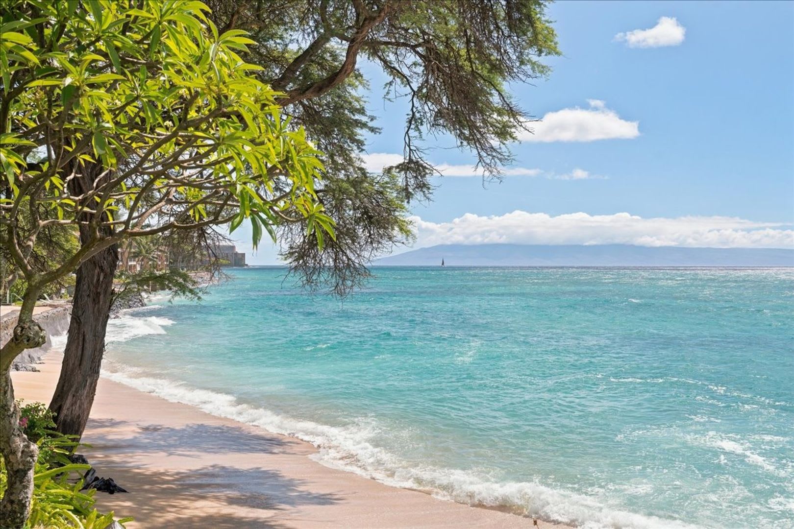 Direct Oceanfront Living at Kuleana – photo 5