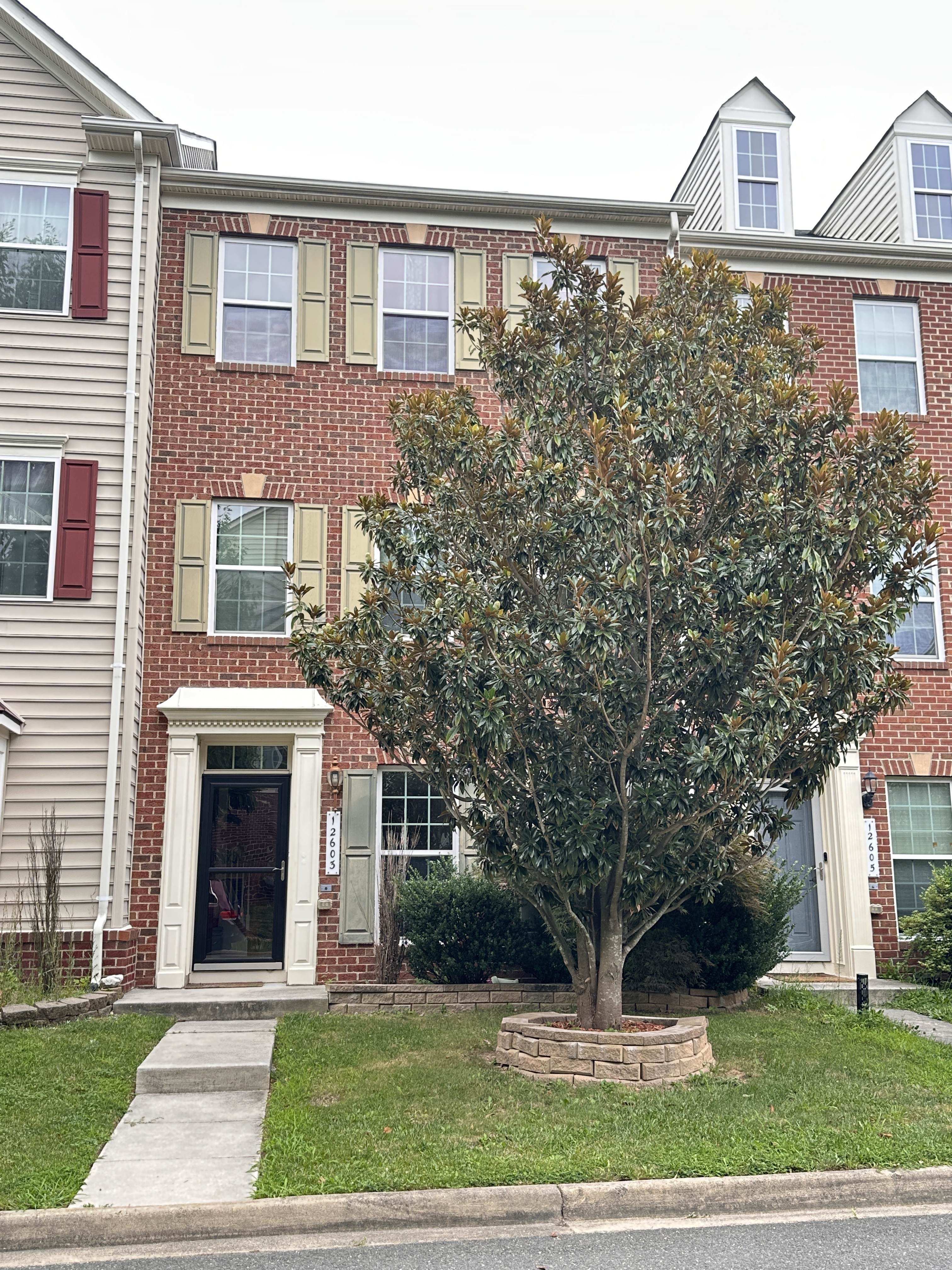12603 Terranova Lane – photo 4
