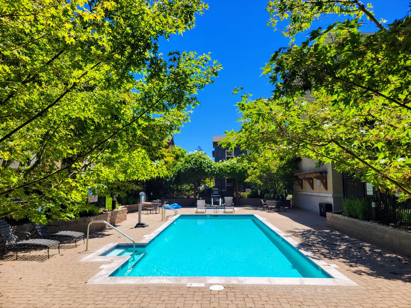 Stunning 2 Bed 2 Bath Penthouse Condo in Los Altos. Great Schools and Location! – photo 2