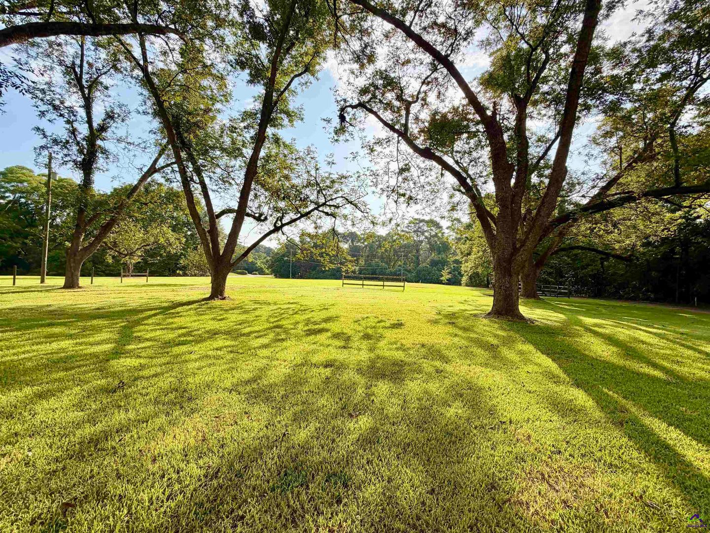 533 Lake Joy Rd – photo 3