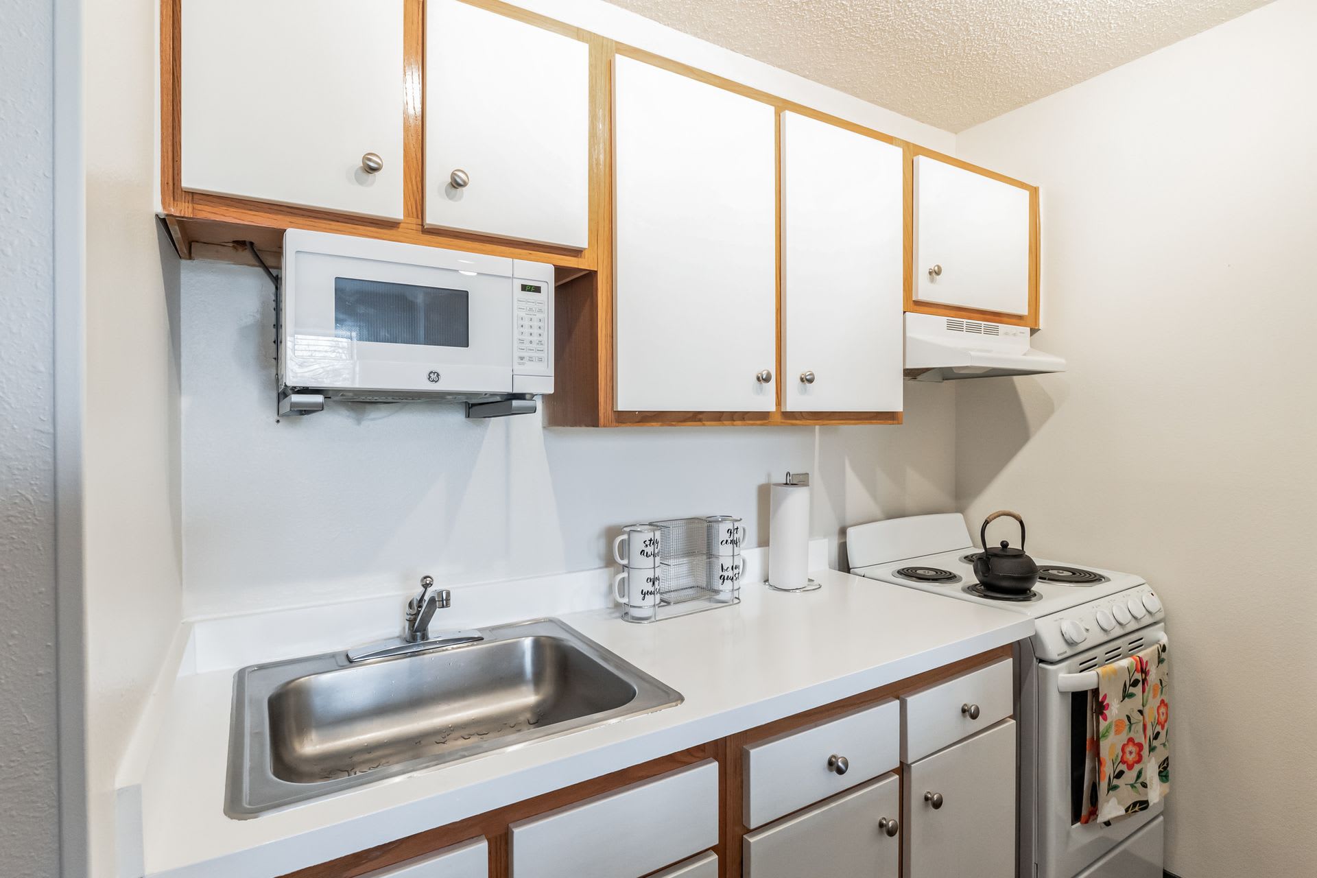 Vivo Living Charlotte University – photo 4