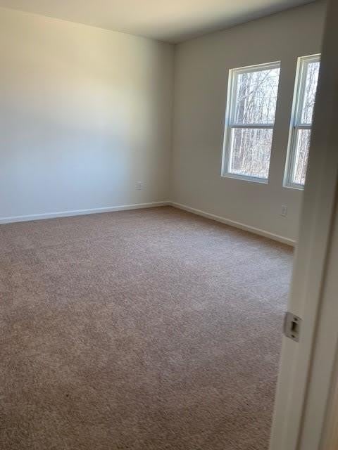 4815 Minnow Lane – photo 4