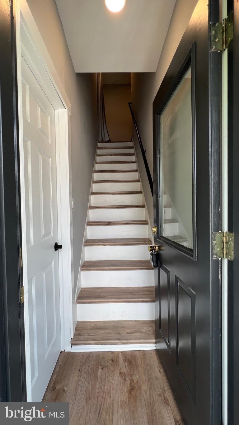 39 BUTTONWOOD Street – photo 5