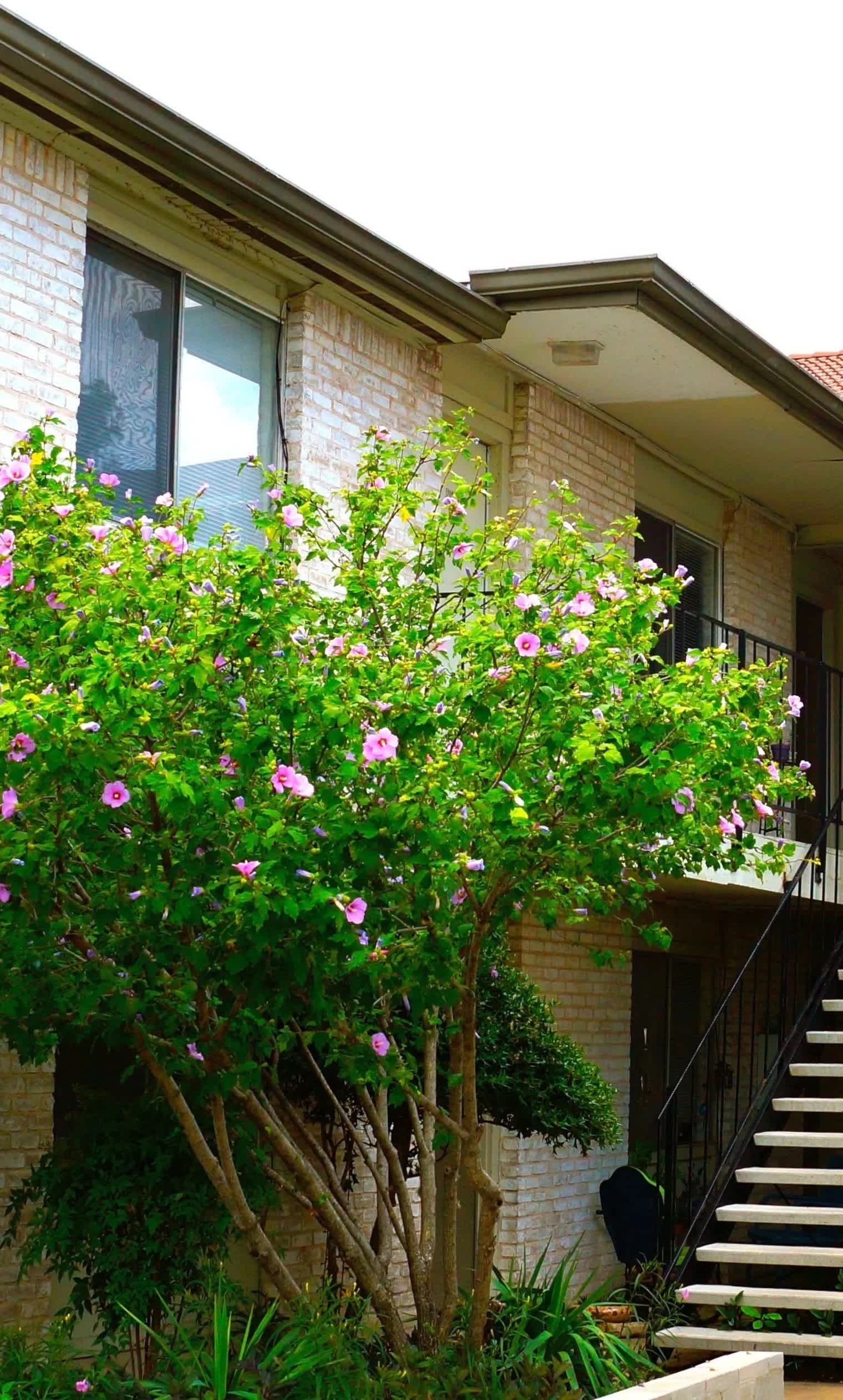 24 Flats – photo 5