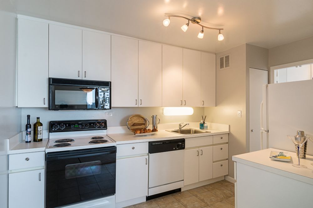 3450 North Lake Shore Drive – photo 4