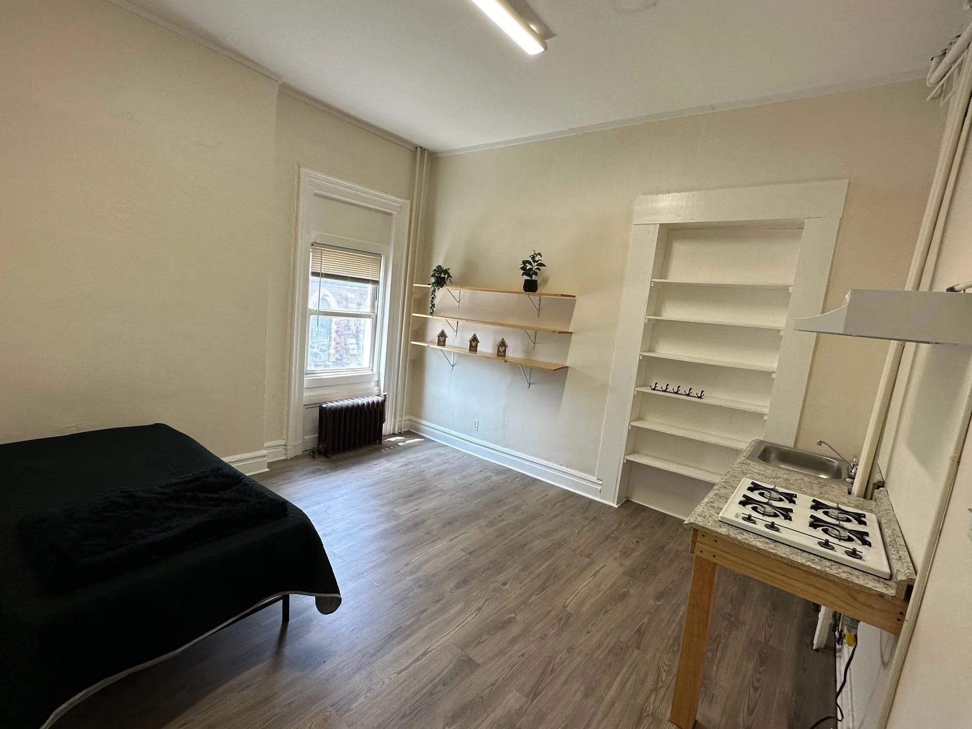 11 Lincoln Park – photo 4