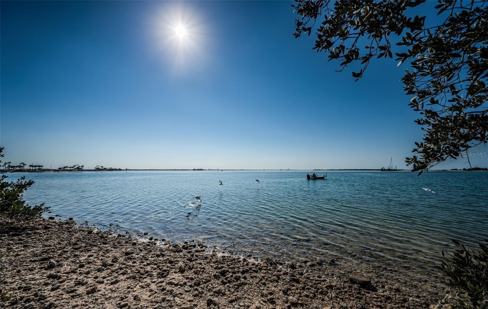 2 CAUSEWAY Boulevard – photo 2