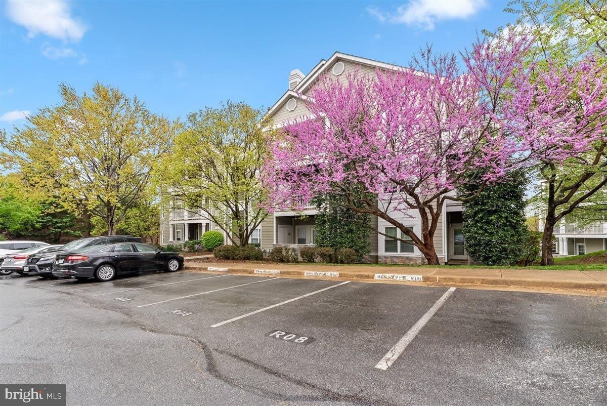 1708 Lake Shore Crest Drive – photo 2
