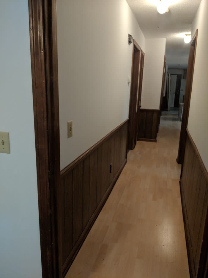 144 Fern Forest Drive – photo 3