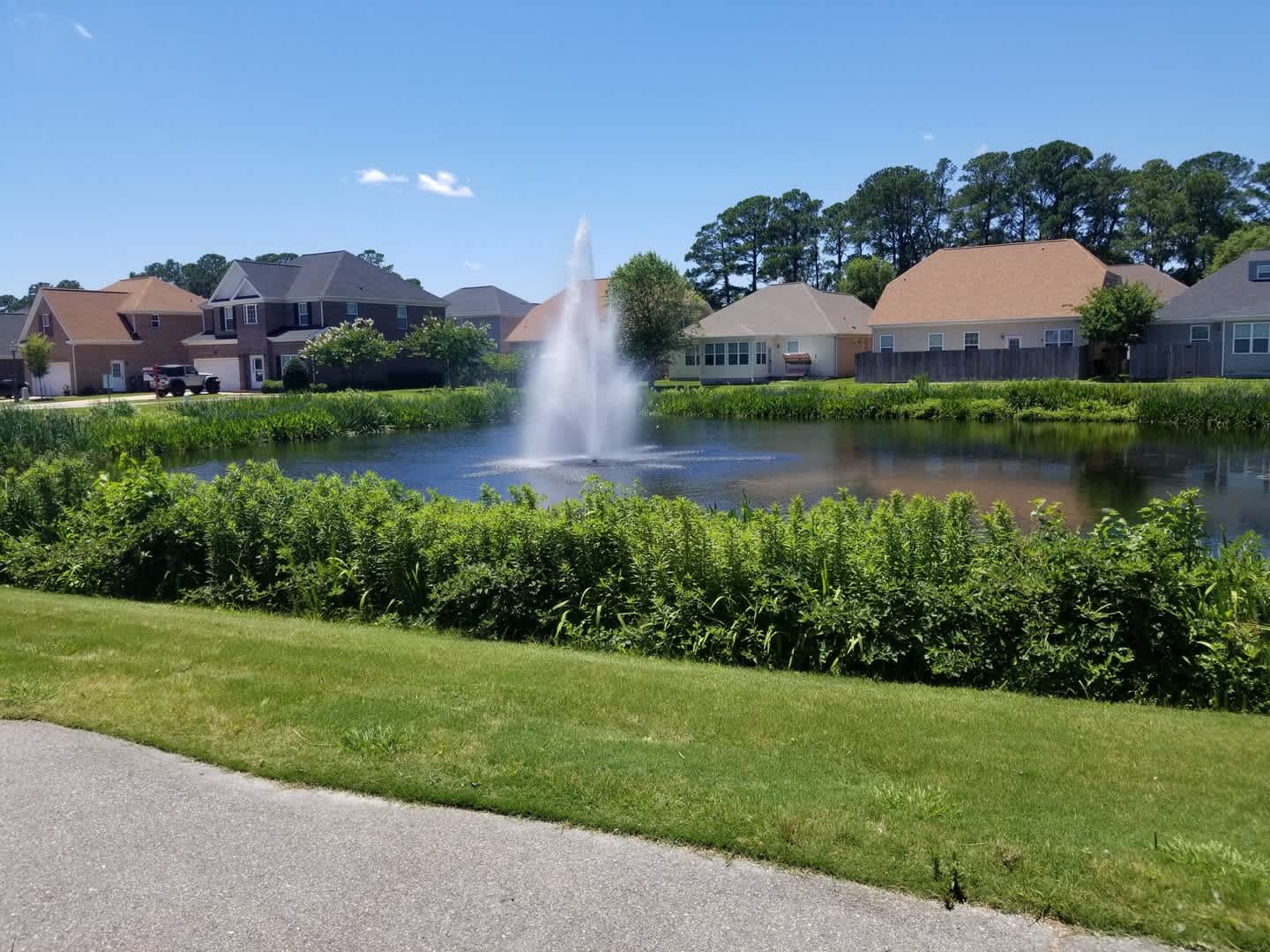 First Watch at Riverpointe – photo 5