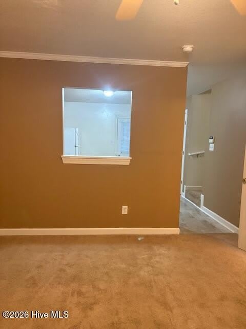 907 Springwood Drive – photo 4