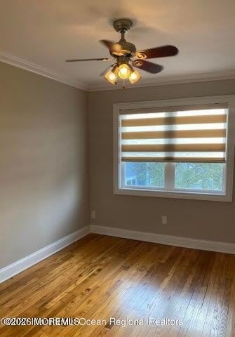 31 Cedar Avenue – photo 4