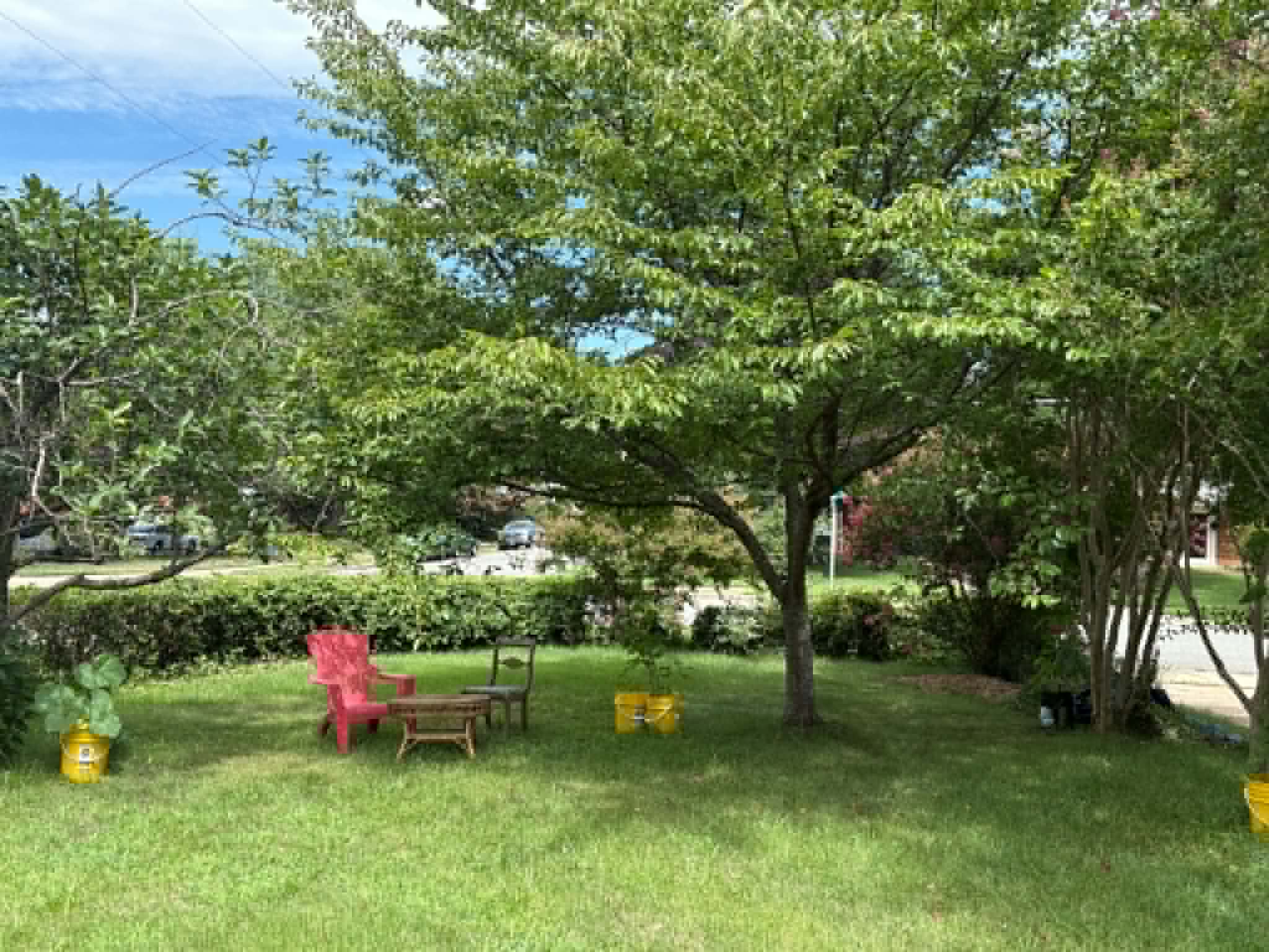 7307 Grace Street – photo 2