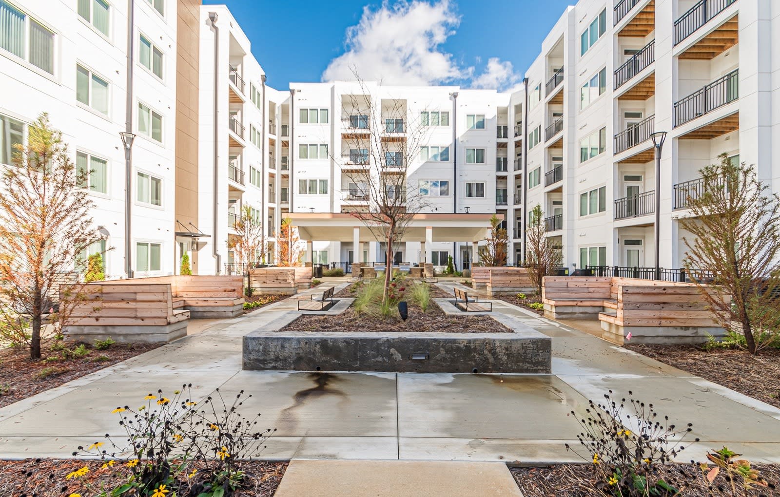 Briar Park 55+ Apartments – photo 2