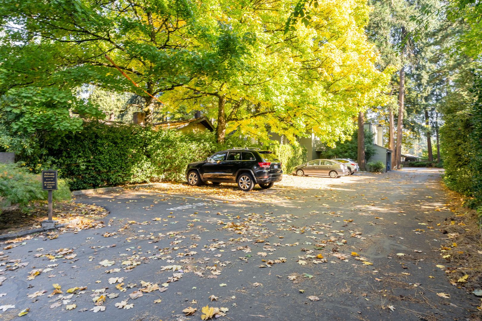 Lake Oswego Condo 2 Bed 1 Bath! – photo 3