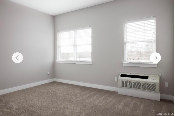 116 Waverly Avenue – photo 5
