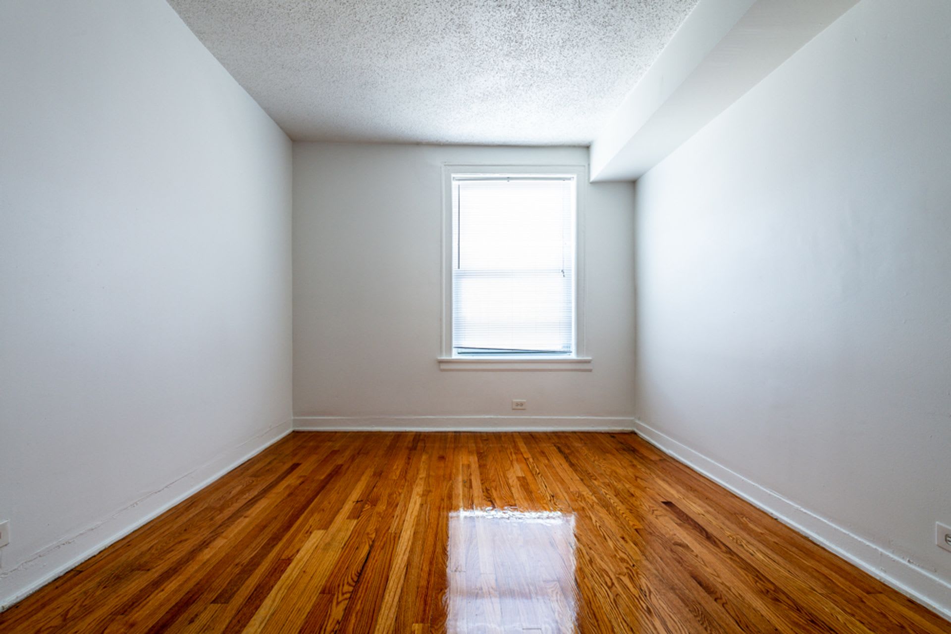 7800 S Jeffery Blvd – photo 4