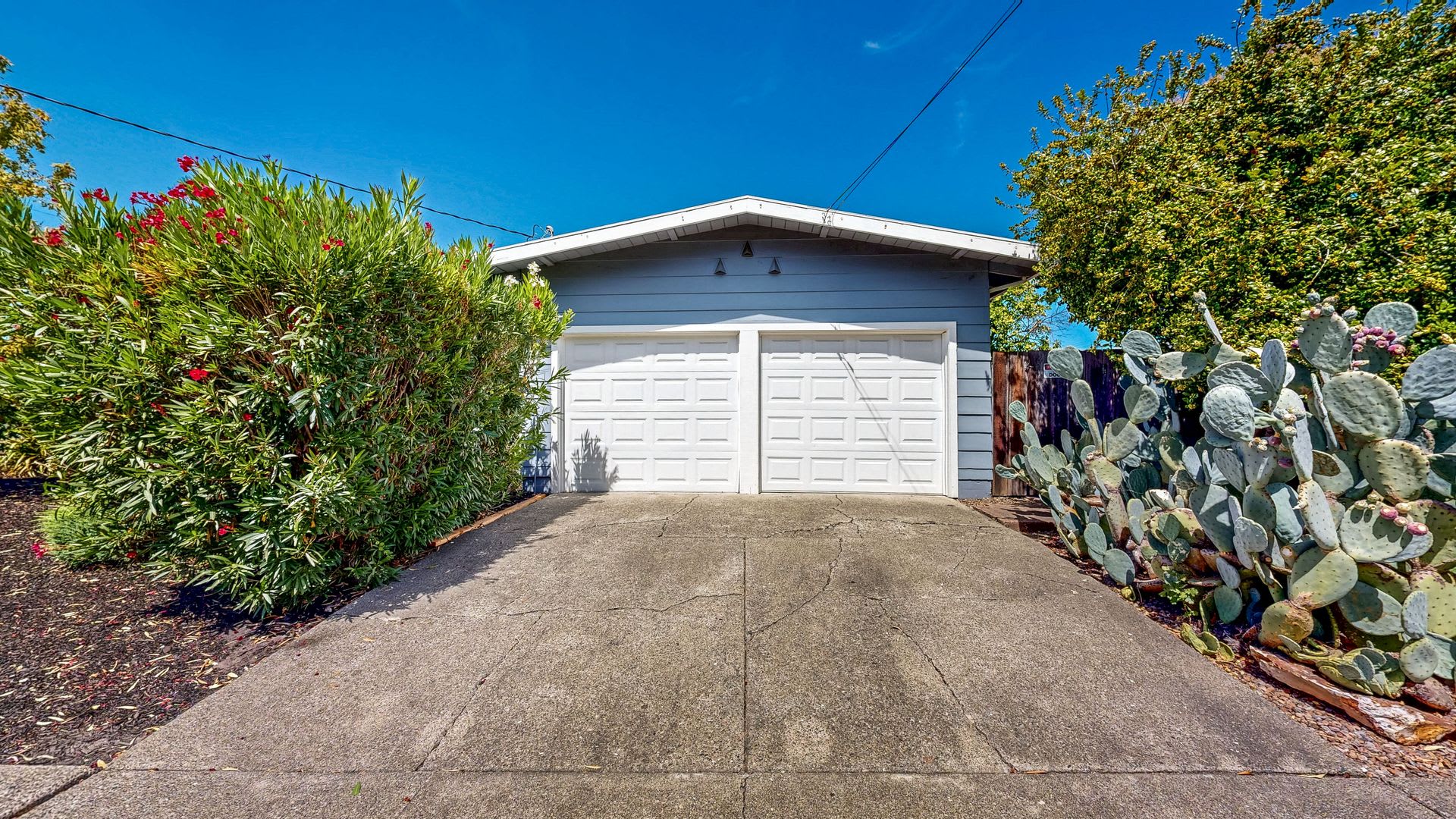 Gorgeous Three Bedroom Two Bath Bennett Valley Single Story Home – photo 4