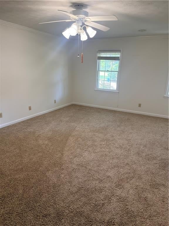 477 Patterson Road – photo 4