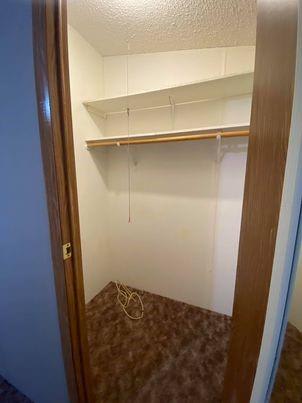 81 Roots Road – photo 4