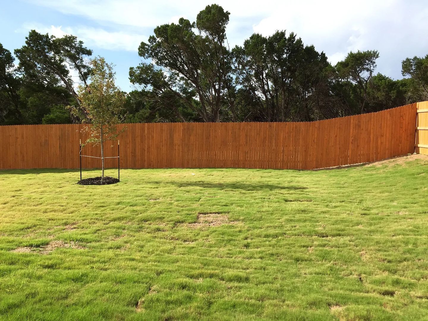 Room in 4 Bedroom Home at Bettylou Ln – photo 5