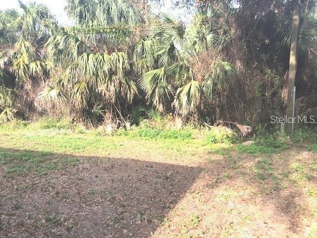 232 BAMBOO Drive – photo 4