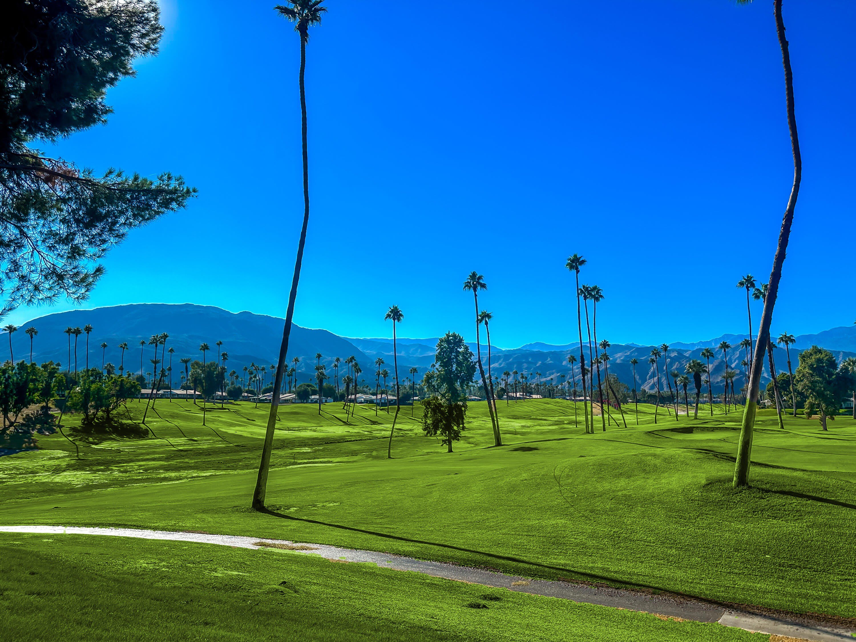 47 Juan Carlos Drive – photo 4