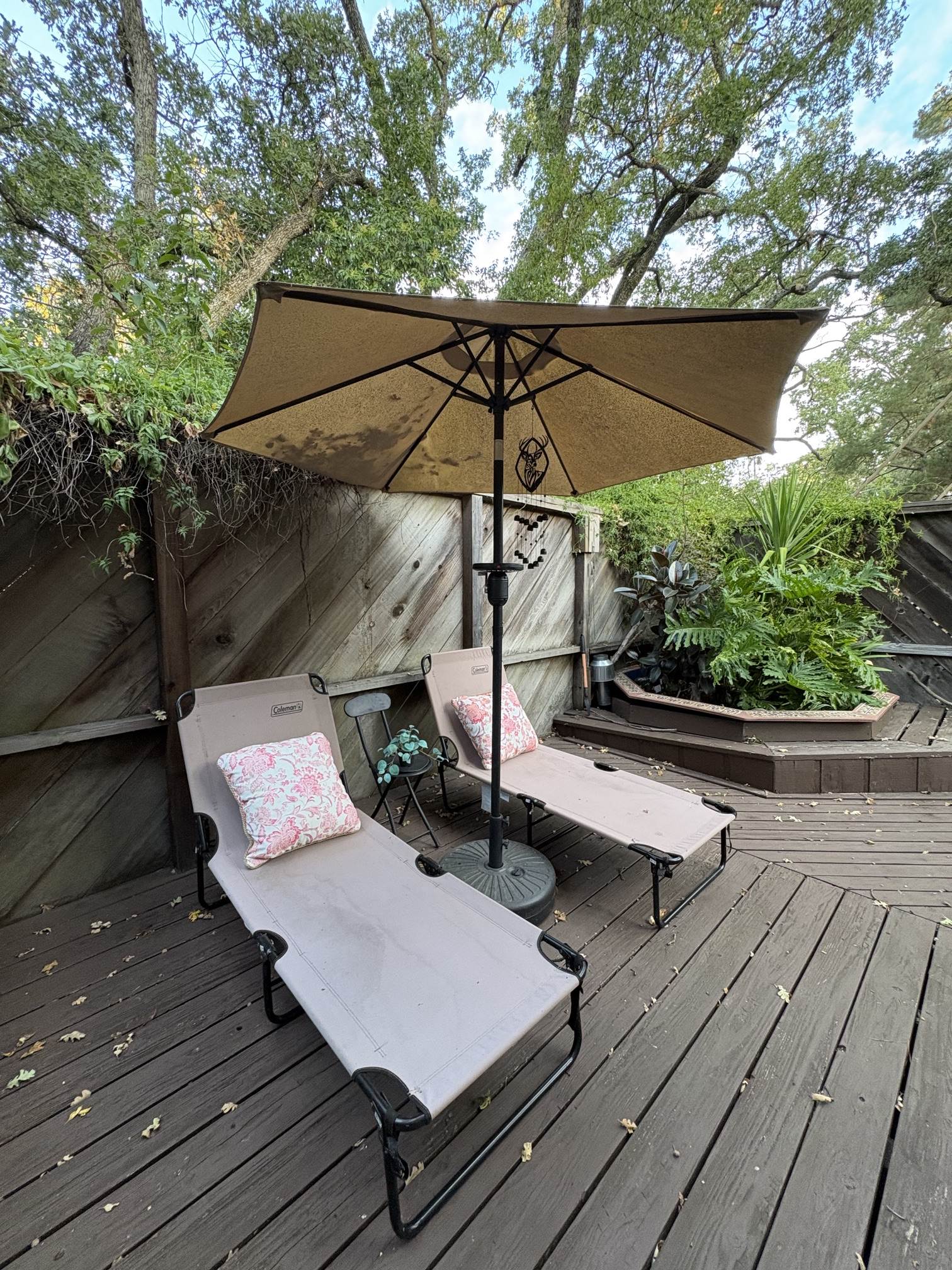 288 Shady Glen Rd – photo 5
