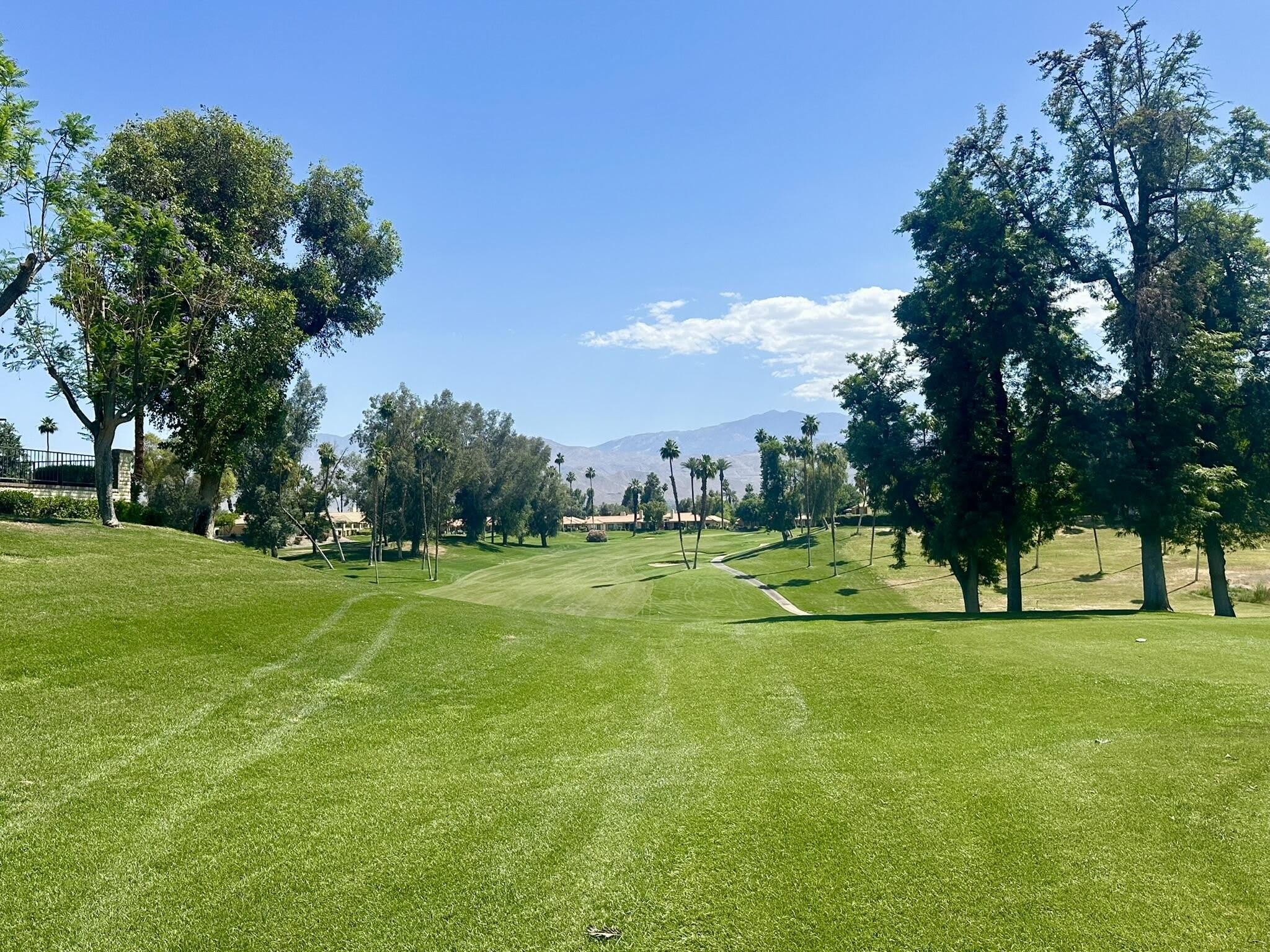 291 Serena Drive – photo 4