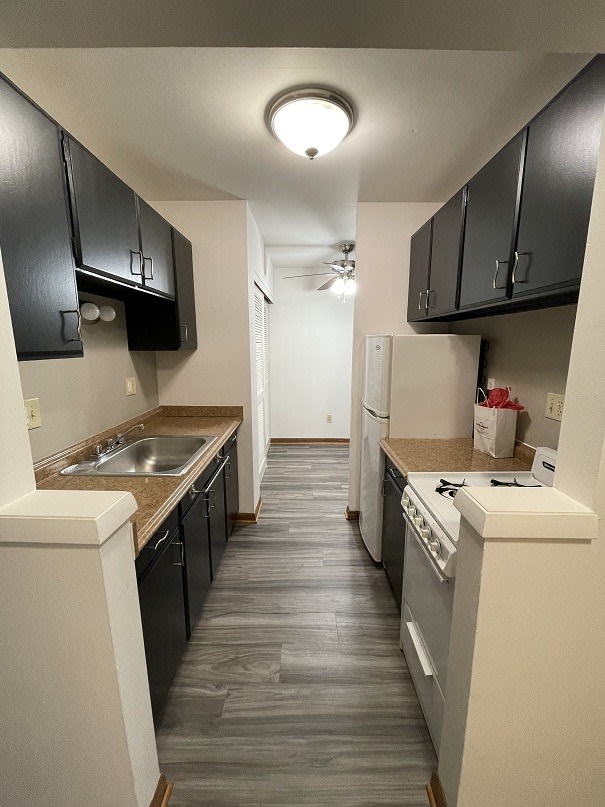 Webster Terrace Ii – photo 3